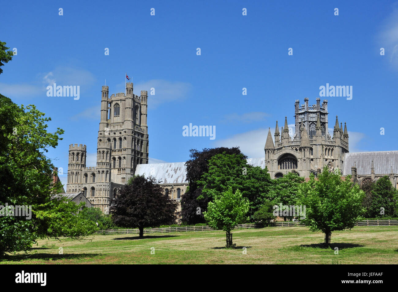 Ely Kathedrale (gesehen vom Park), Ely, Cambridgeshire, England, UK Stockfoto