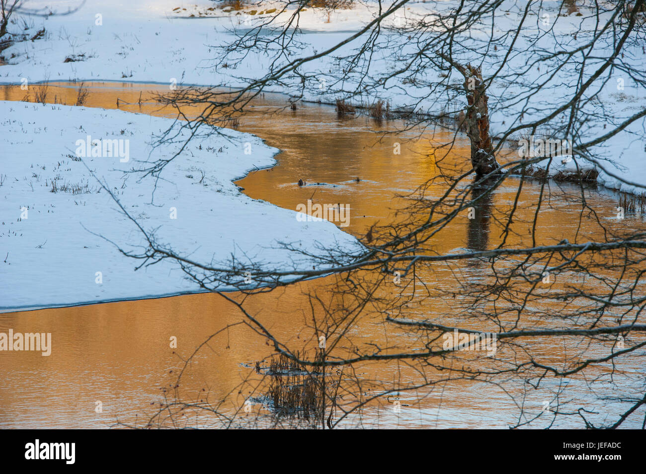 Fluss mit Spiegelung in einem kalten Winter, Nybroån Scania Stockfoto