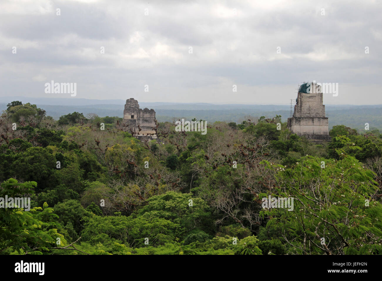 Die Maya-Ruinen von Tikal Guatemala Stockfoto