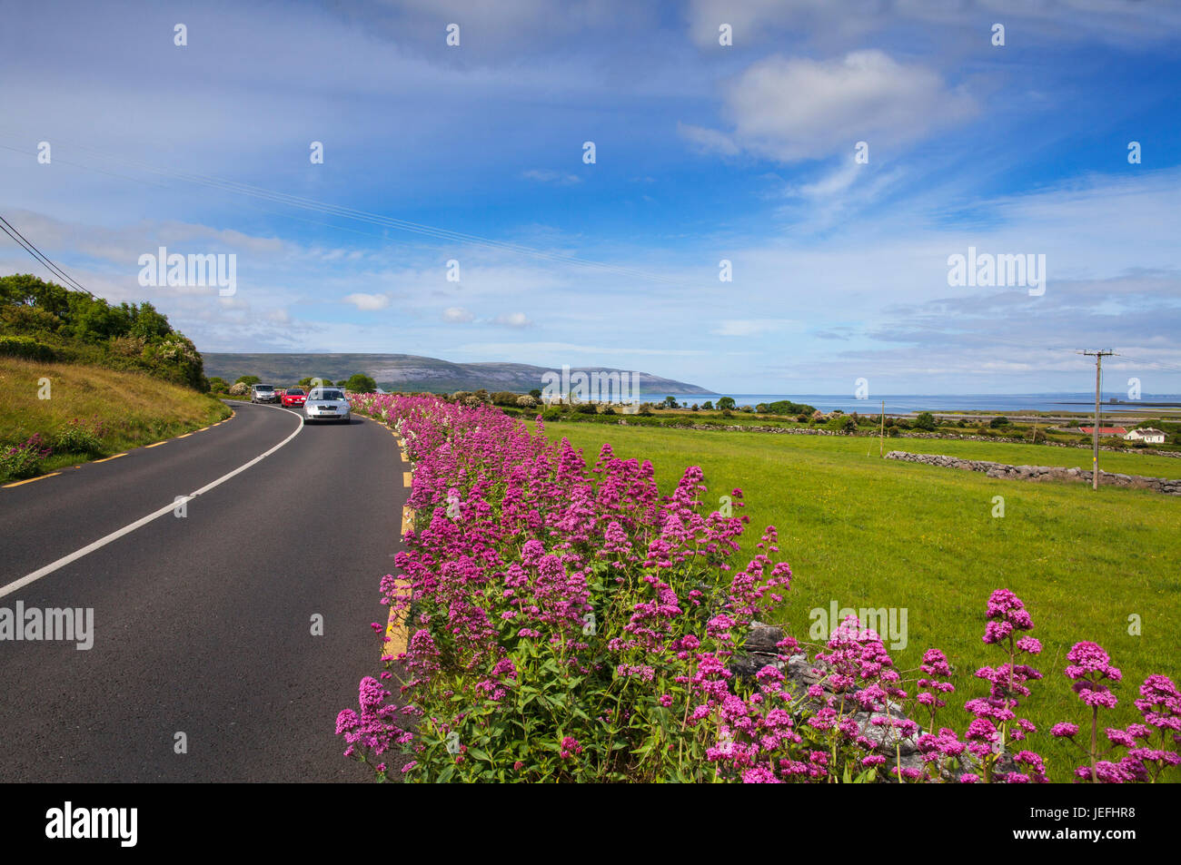 Autos auf der N67 in der Nähe von Muckinish Castle an der Küste zwischen Kinvarra und Ballyvaughan, Ballyvaughan, County Clare, Irland Stockfoto