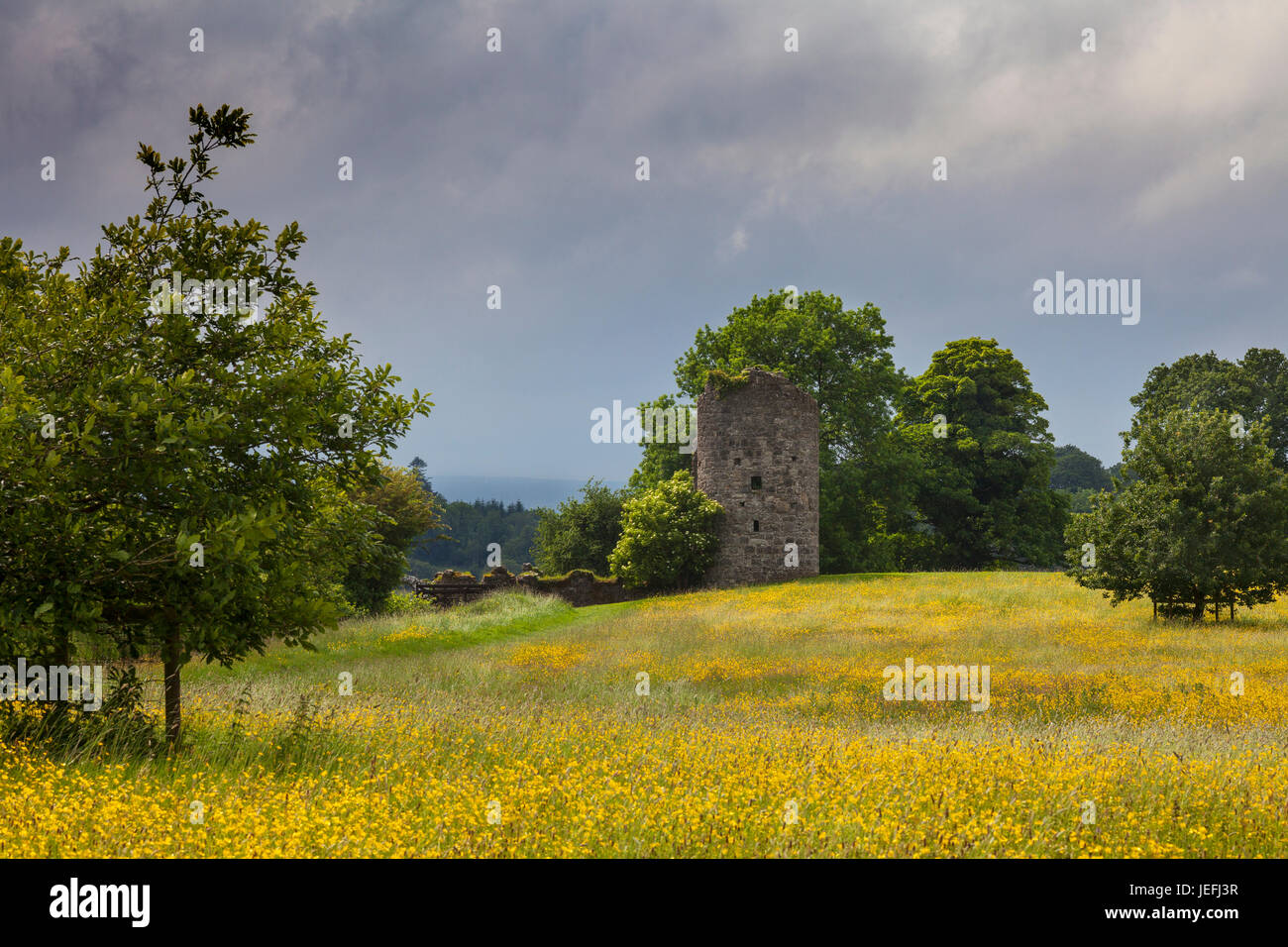 Das alte Schloss, ein Turm aus dem 17. Jahrhundert Haus gebaut in den frühen, Crom Castle Estate, Upper Lough Erne, Grafschaft Fermanagh, Nordirland Stockfoto