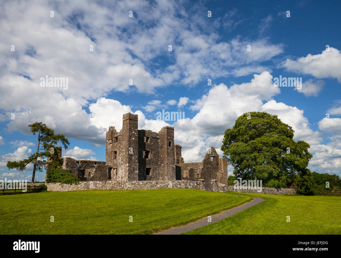 Bective Abbey ist ein Zisterzienser-Abtei auf dem Fluss Boyne, gründete 1147, die verbleibenden Ruinen stammen bis ins 15. Jahrhundert, County Meath, Irland Stockfoto