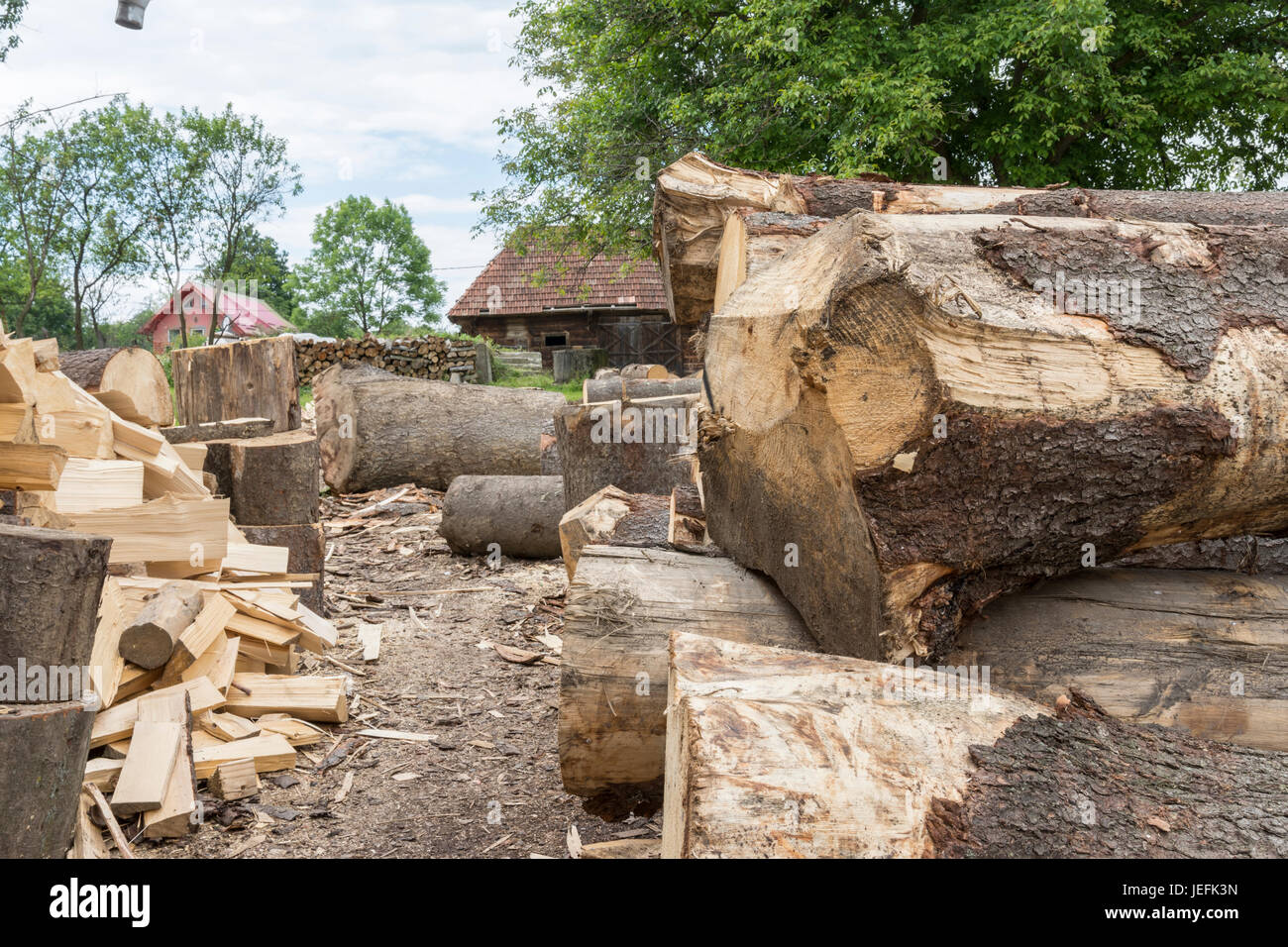 Holzscheite in einem Sägewerk in der Maramures-region Stockfoto