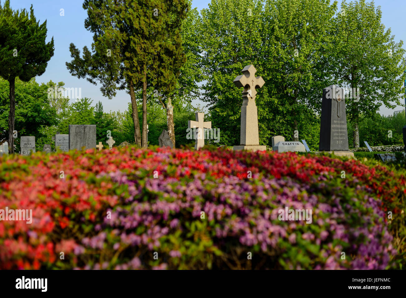 Yanghwajin ausländische Missionar Friedhof, Seele Stockfoto