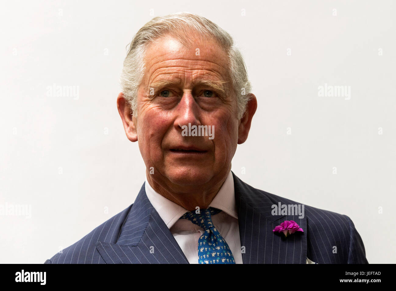 Prinz Charles, Prinz von Wales, Porträt Stockfoto