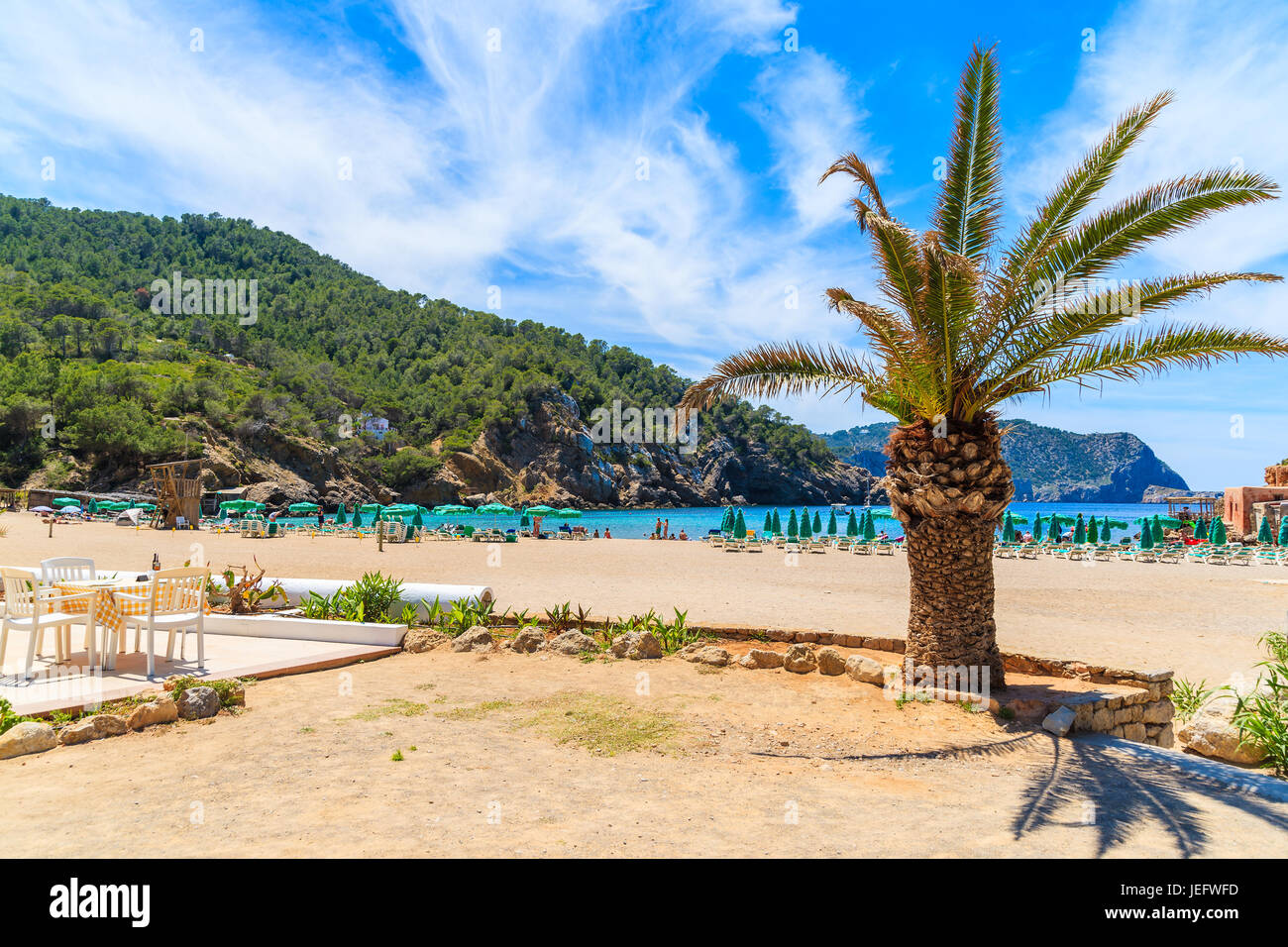 Tisch im Restaurant auf der Terrasse und Palm-Baum auf Cala Benirras Strand, Insel Ibiza, Spanien Stockfoto