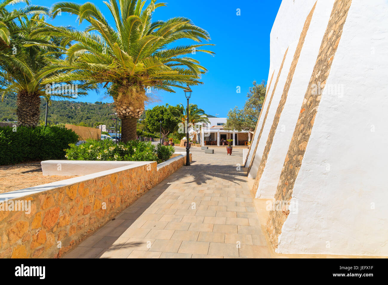 Typische weiße Kirche und Palmen Bäume in Es Cubells Dorf, Insel Ibiza, Spanien Stockfoto