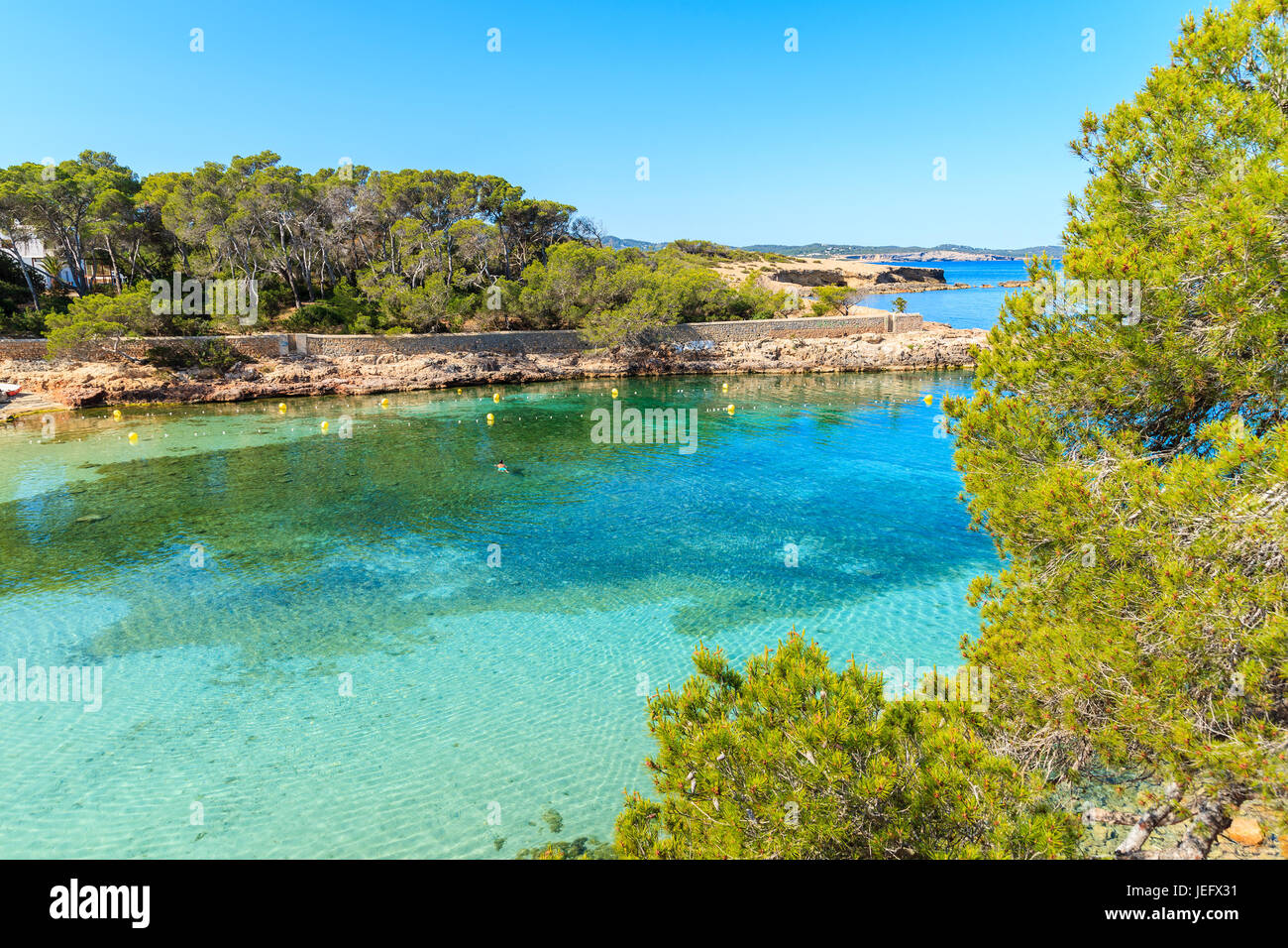 Blick auf die Bucht von Cala Gracio mit azurblauen Meerwasser am frühen Morgen, Insel Ibiza, Spanien Stockfoto