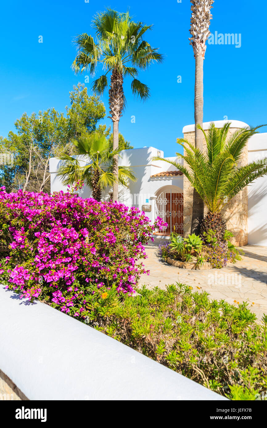 Insel IBIZA, Spanien - 20 Mai 2-17: Luxus-weiße Farbe-Ferien-Villa und hohen Palmen im Garten in Cala Nova Gegend der Insel Ibiza, Spanien. Stockfoto