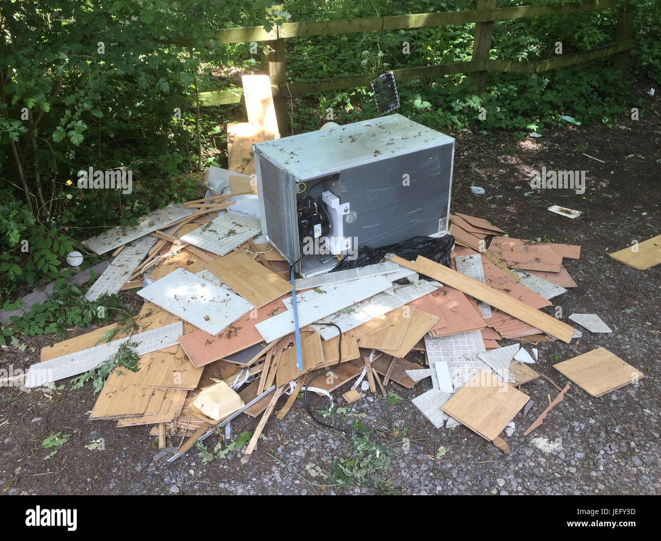 Trinkgeld in Berkshire, England zu fliegen.  Foto: Tony Gale Stockfoto