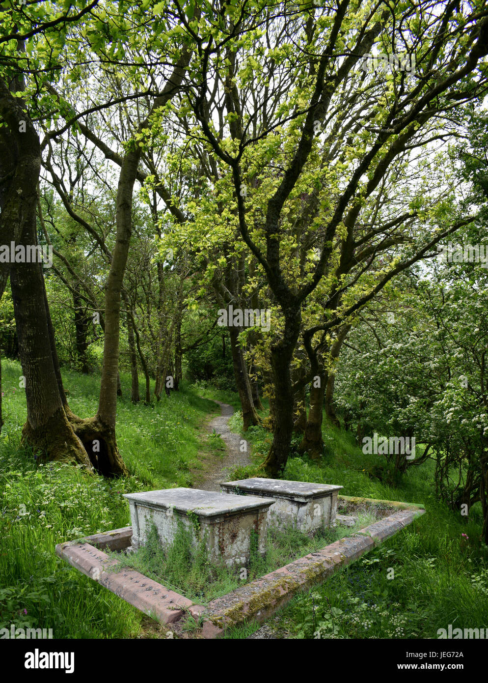 Composite Foto, Grabsteine auf einem Wald Weg. (Die sich im Speicher, in memoriam) Stockfoto