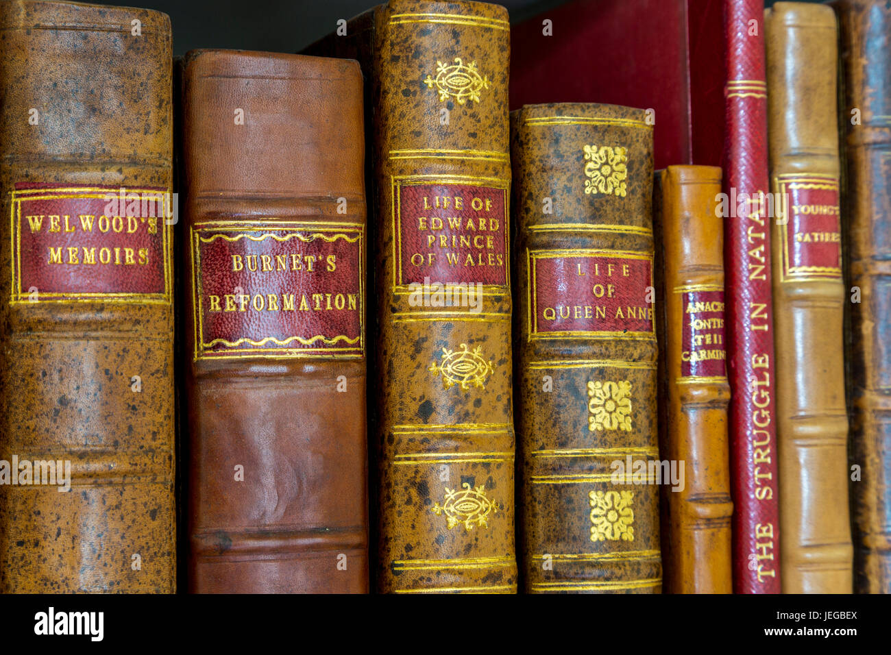 Yorkshire, England, Vereinigtes Königreich.  Antiquarische Bücher in der Bibliothek eines Landsitzes. Stockfoto