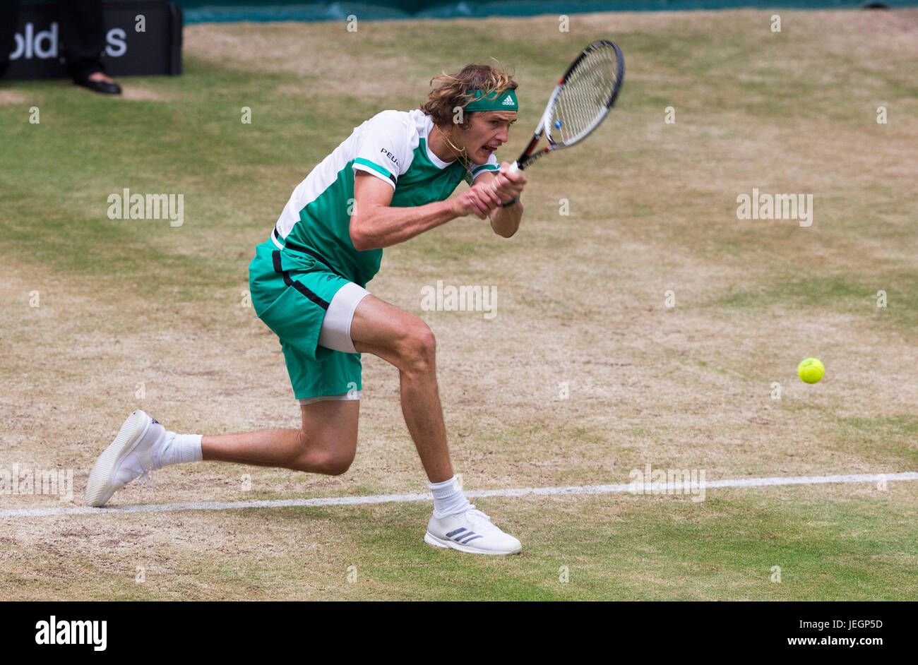 Alexander Zverev Deutschlands in Aktion im Finale der Gerry Weber Open in Halle. Stockfoto