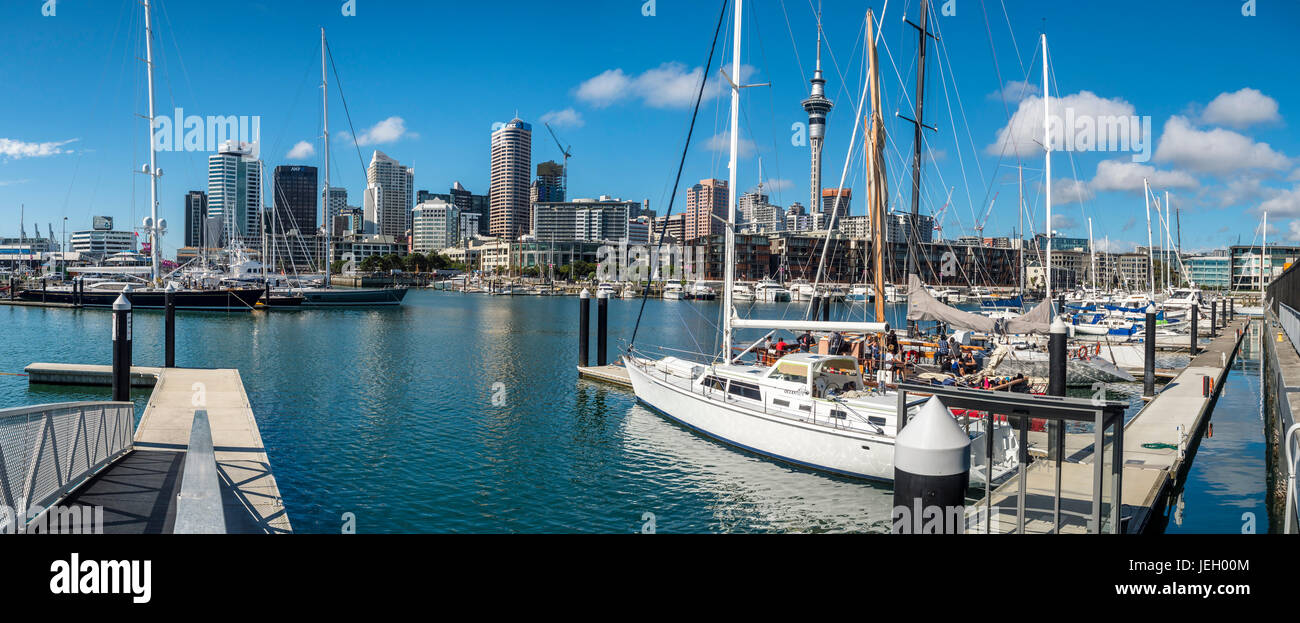Marina mit Skyline und Skytower, Auckland, Nordinsel, Neuseeland Stockfoto
