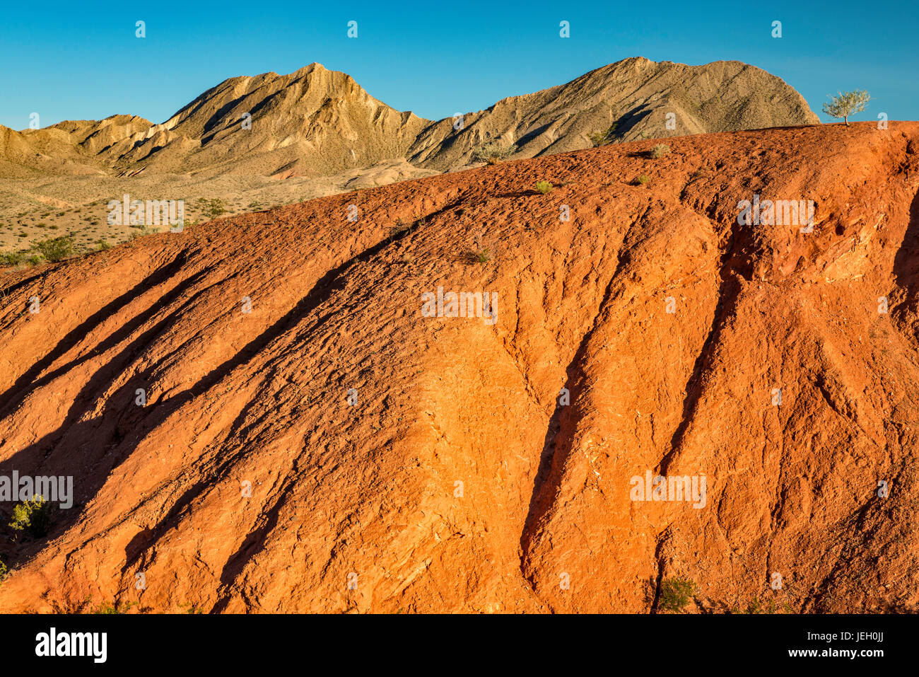 Felsformationen, unbenannte Hügel, Blick vom Northshore Road, Mojave-Wüste, Lake Mead National Recreation Area, Nevada, USA Stockfoto