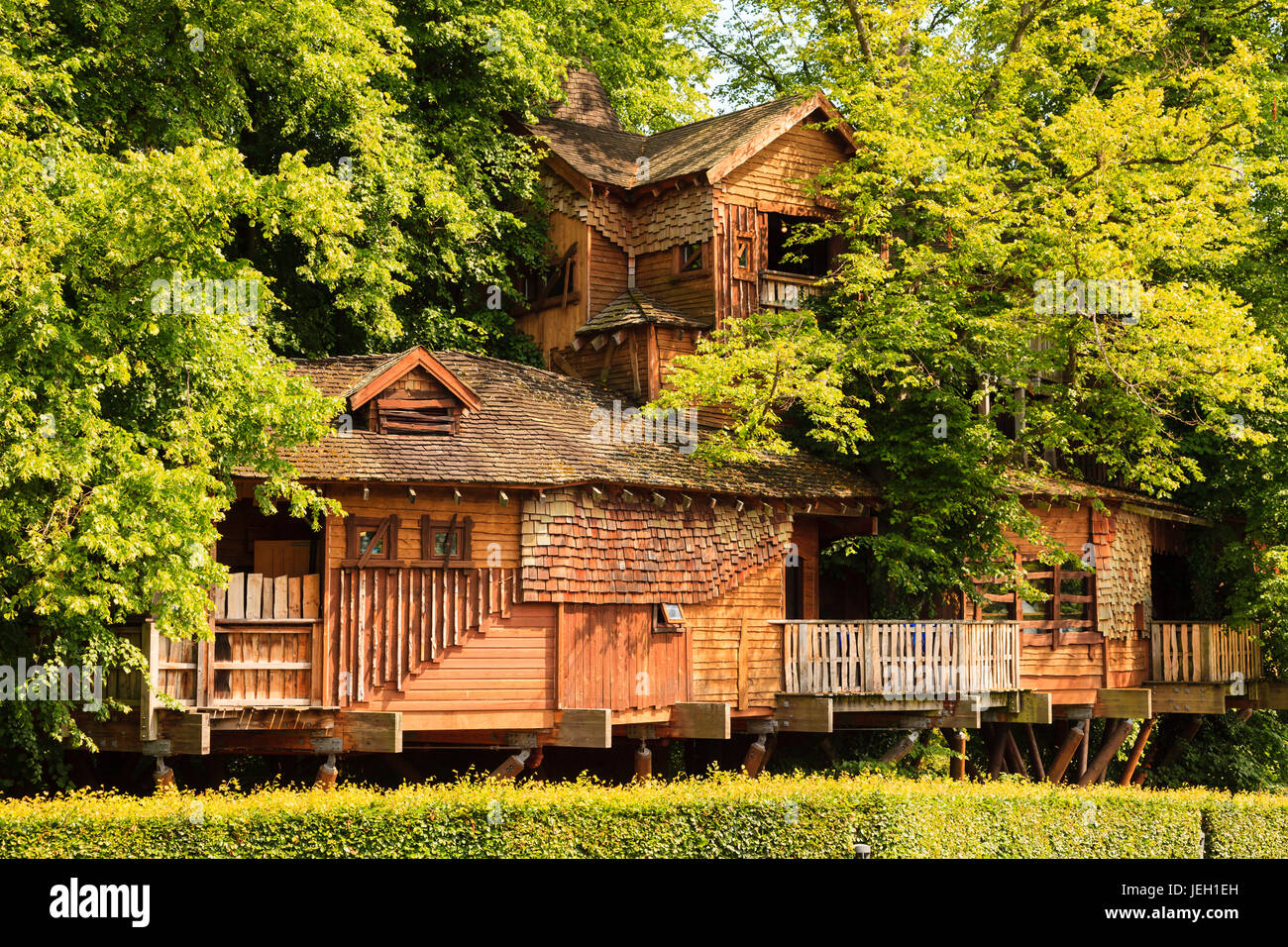 Alnwick Baumhaus.  Alnwick Garden Baumhaus in Northumberland, Nordengland.  Das Baumhaus eröffnet im Jahr 2004 ist eines der größten in der Welt. Stockfoto