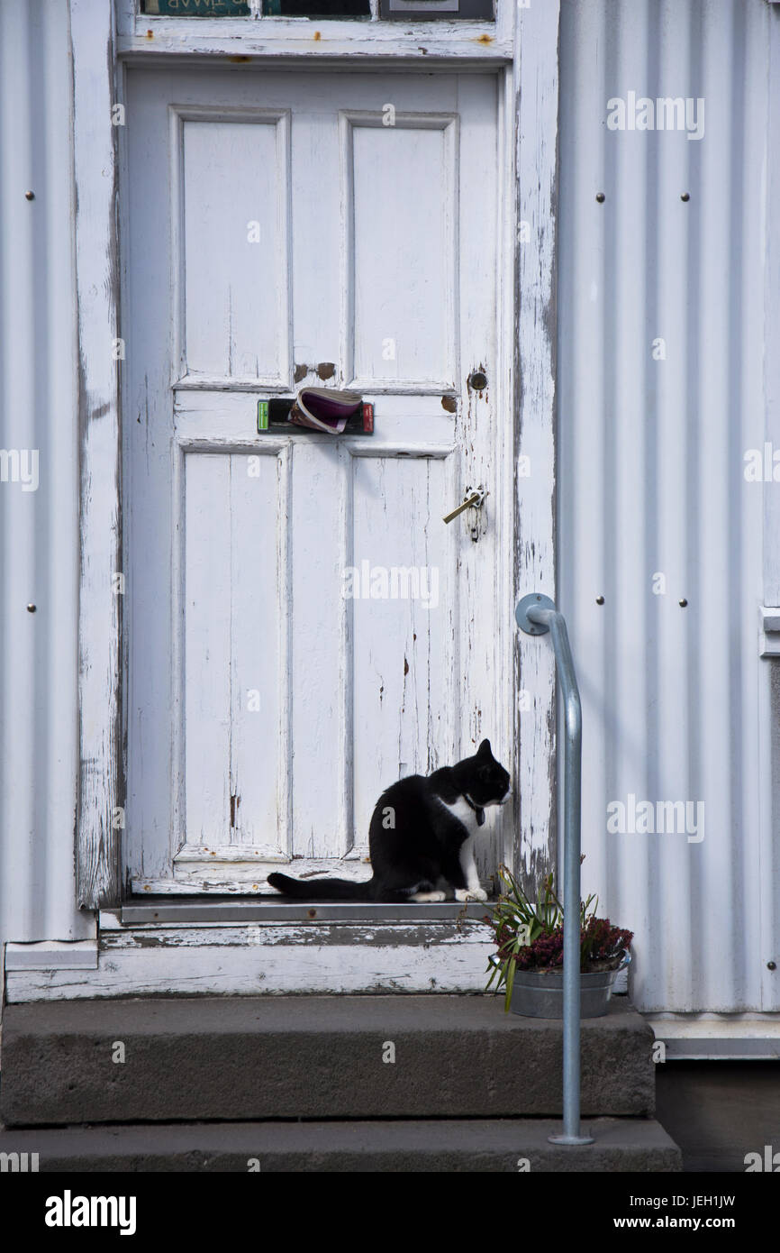 Eine schwarze und weiße Katze sitzt eine rustikale vor der Tür. Reykjavik, Island. Stockfoto