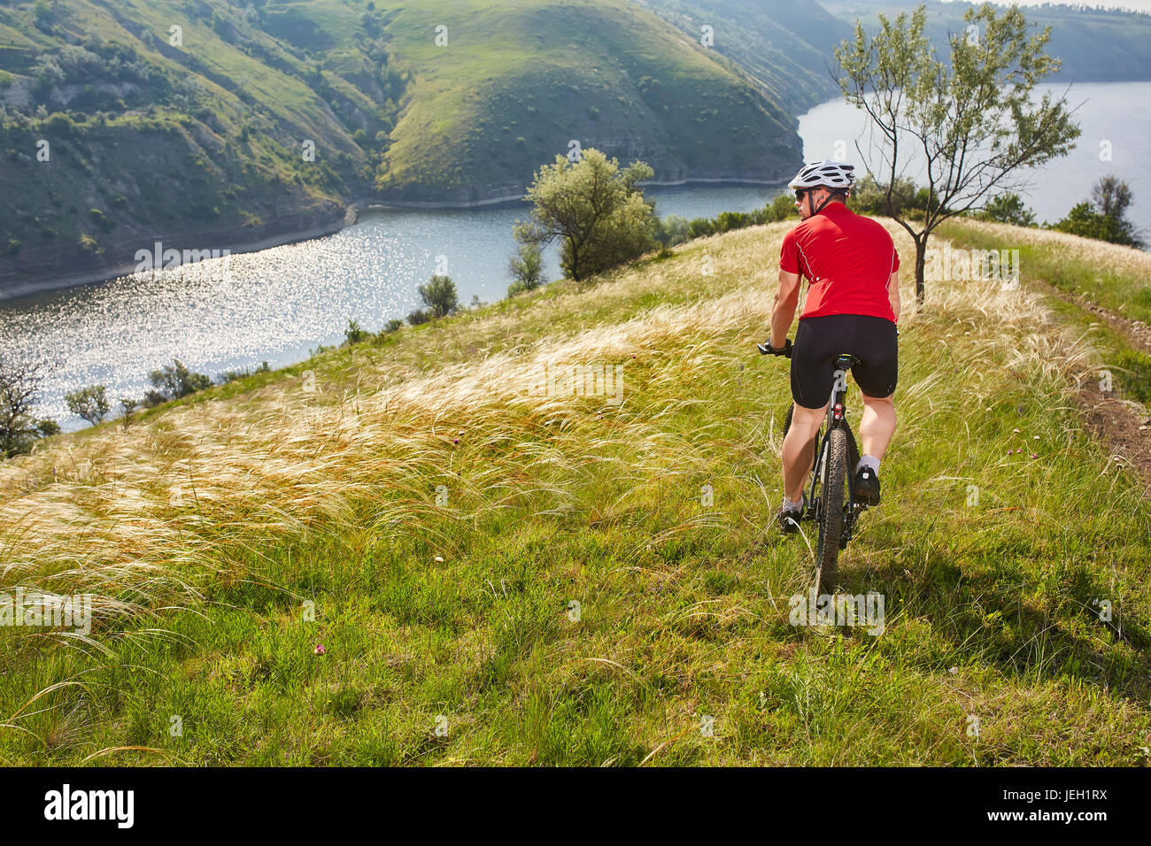 Rückansicht des jungen attraktiven Radfahrer fahren Mountainbike in der Sommerwiese. Stockfoto