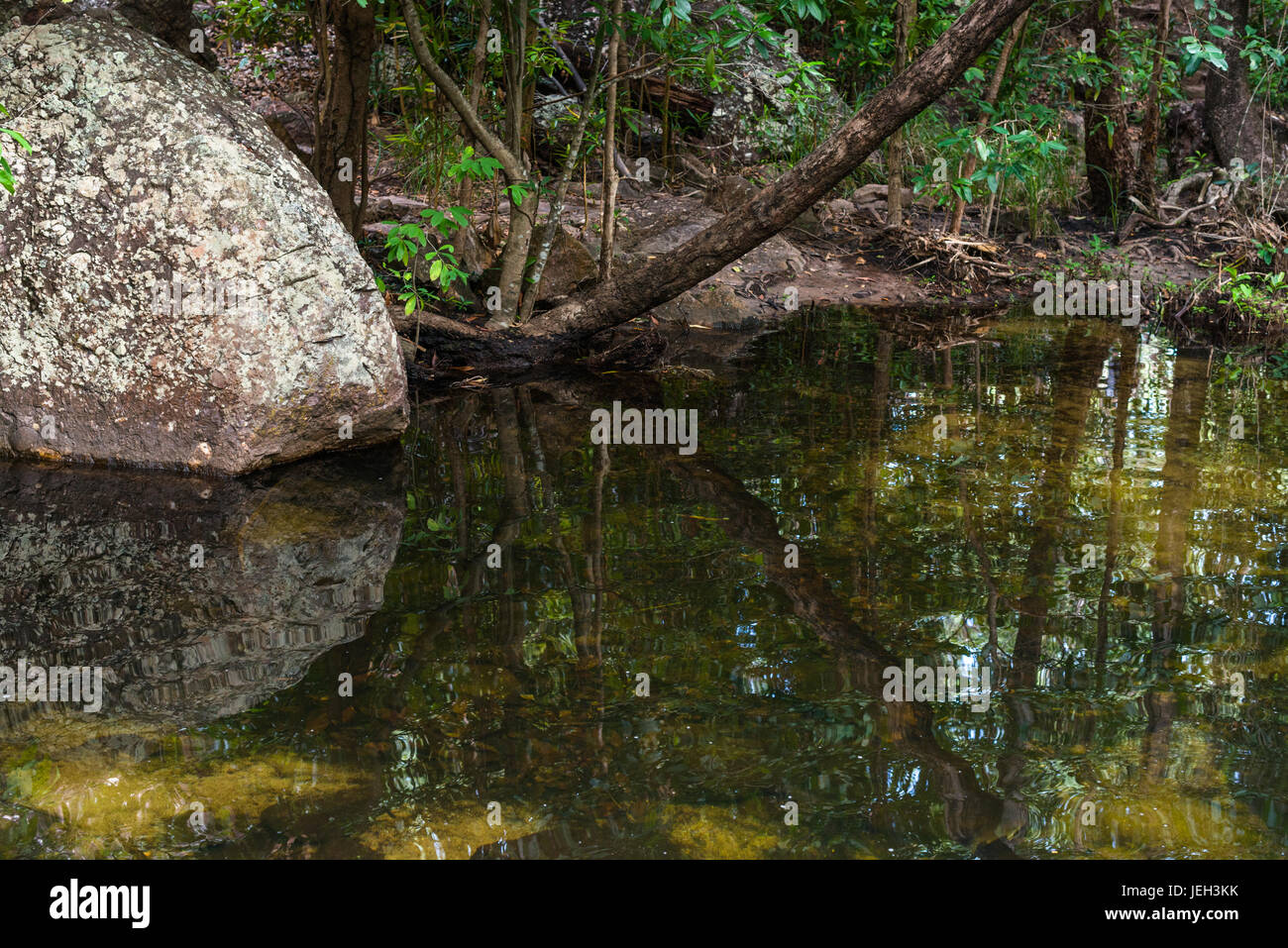 Noch Wasser in den Kakadu National Park, Northern Territory, Australien. Stockfoto