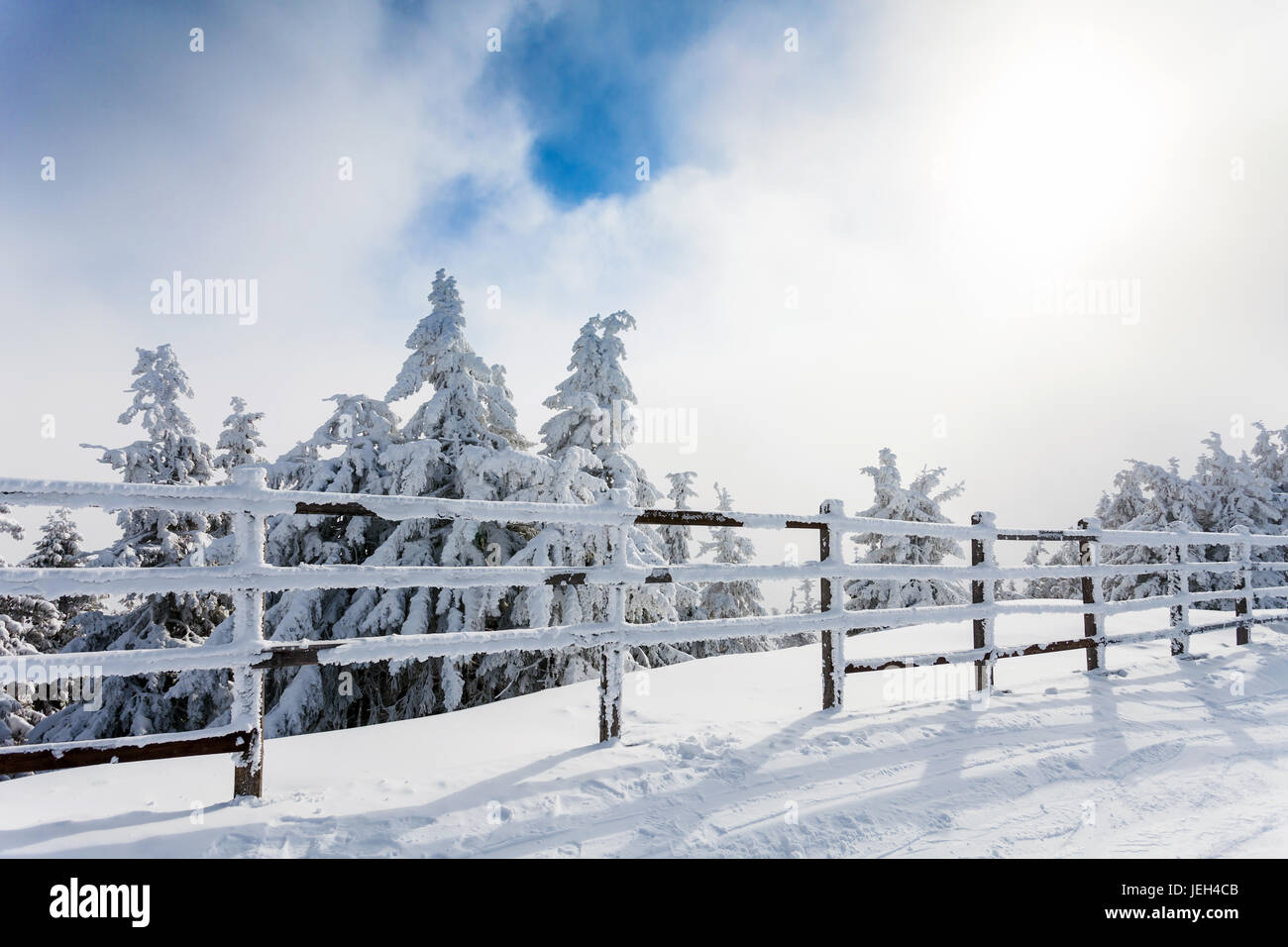 Winterbäume und Holzzaun bedeckt im Schnee, die Grenzen eine Bergstraße auf Wintersaison in Poiana Brasov, Rumänien Stockfoto