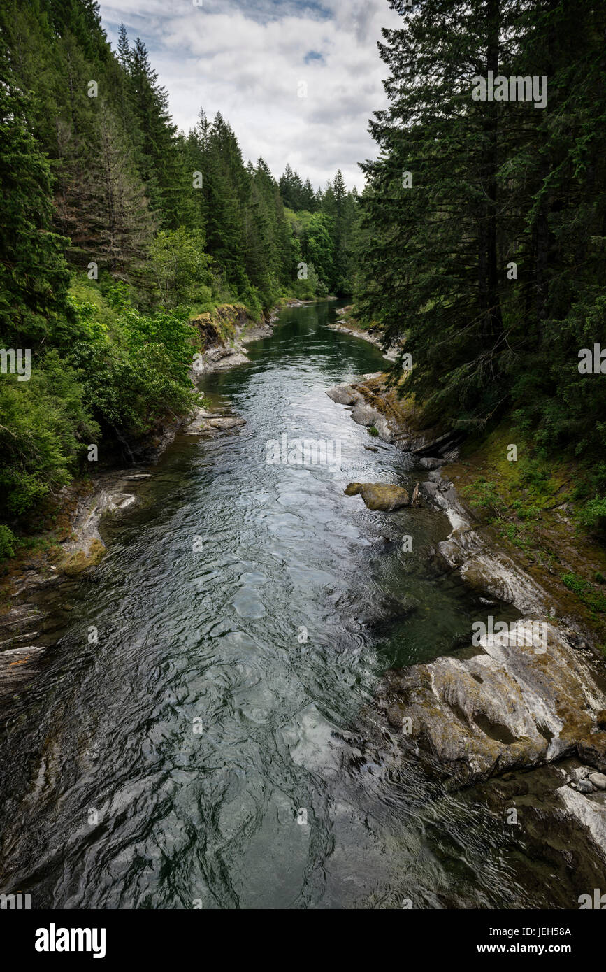 Cowichan River provincial Park Naturkulisse, Vancouver Island, BC, Kanada. Stockfoto