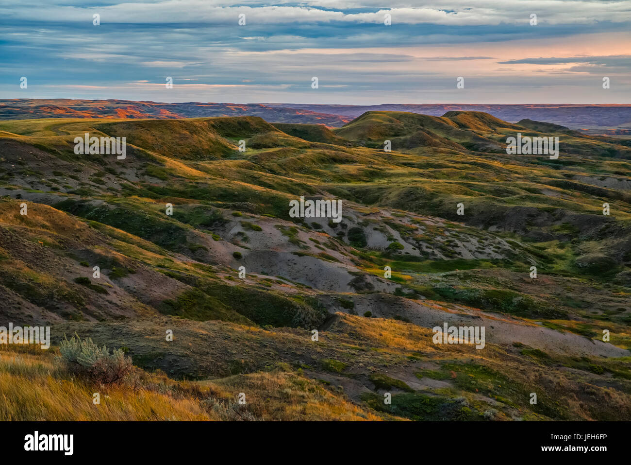 Die Gillespie Region des Grasslands National Park; Saskatchewan, Kanada Stockfoto