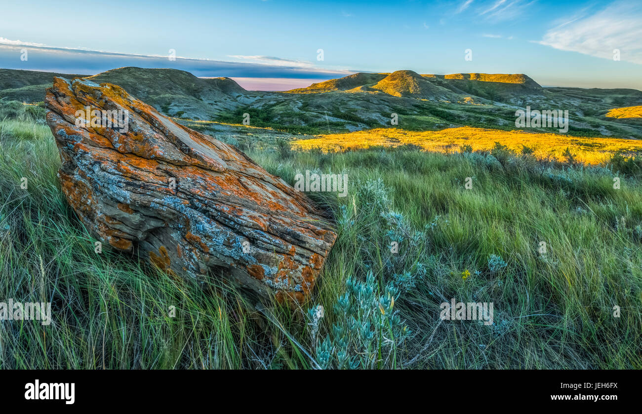 Eine Flechte bedeckt Rock mit 70 Meile Butte in der Ferne, Grasslands National Park; Saskatchewan, Kanada Stockfoto