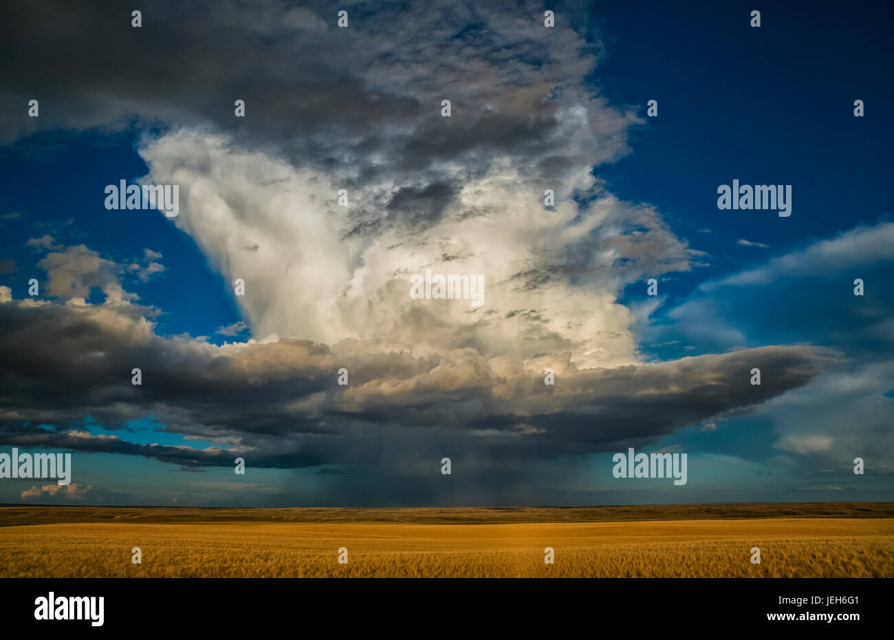 Großen Sturm Gewitterzelle über die Prärie; Saskatchewan, Kanada Stockfoto