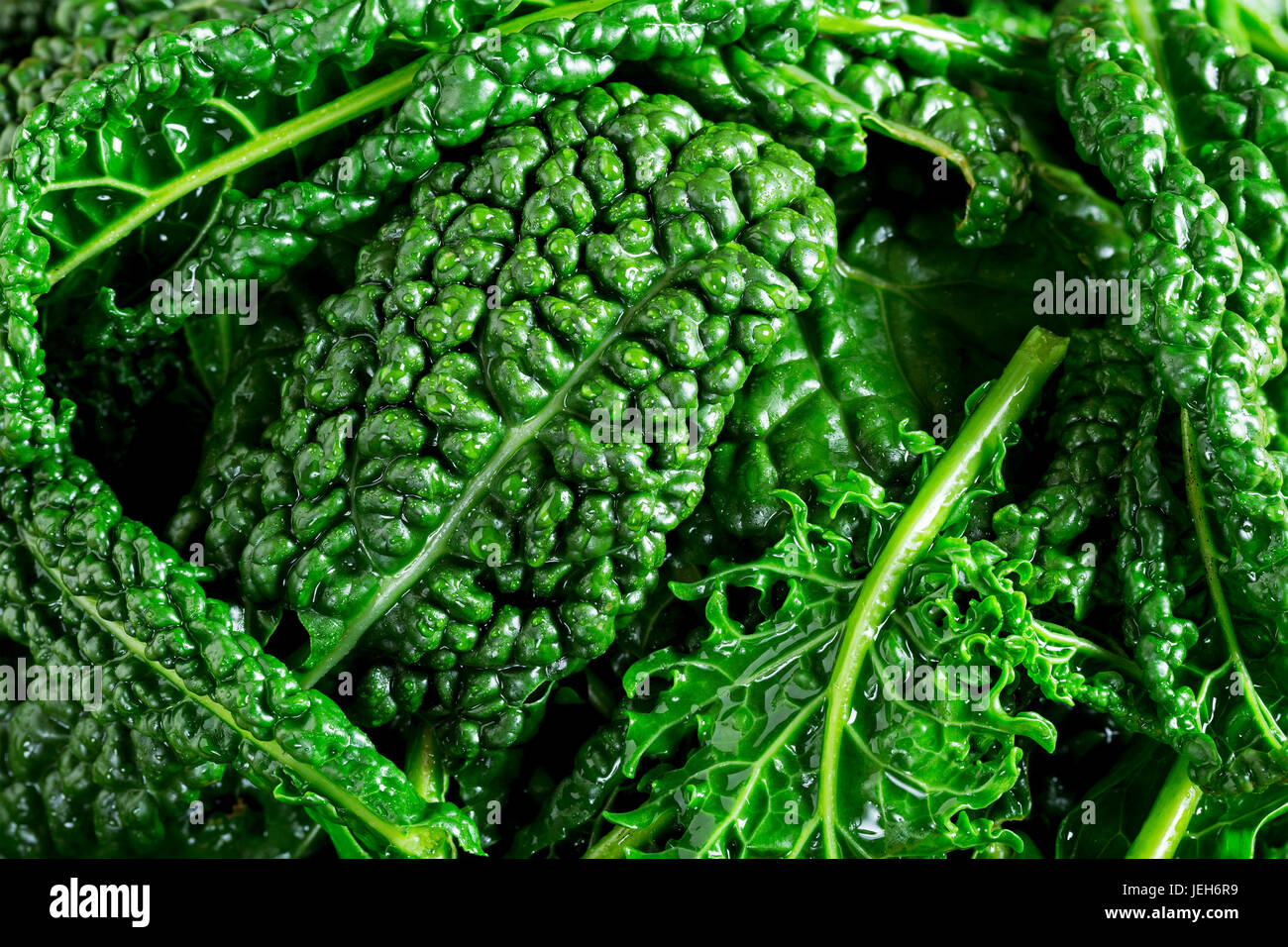 Extreme Nahaufnahme von Kale Blätter mit Wassertropfen; Calgary, Alberta, Kanada Stockfoto