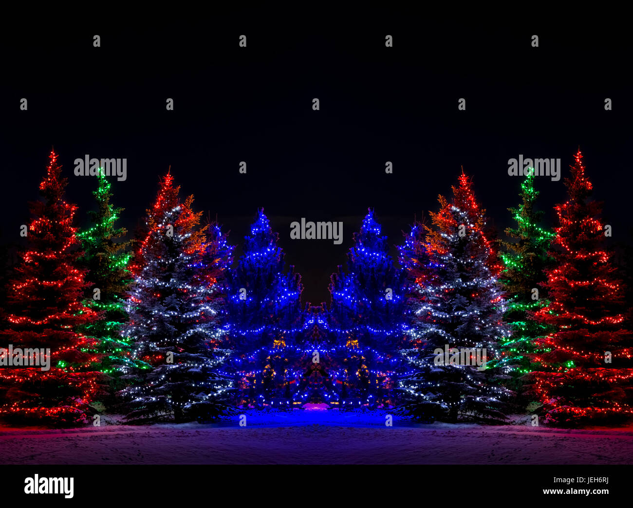 Bunte Weihnachtsbeleuchtung um mehrere immergrüne Bäume; Calgary, Alberta, Kanada Stockfoto