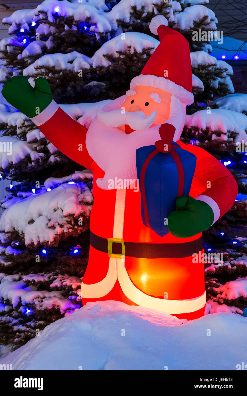 Glühende aufgeblasen Santa Claus Weihnachten Dekoration mit Weihnachtsbeleuchtung auf dem Schnee immergrünen Baum bedeckt; Calgary, Alberta, Kanada Stockfoto