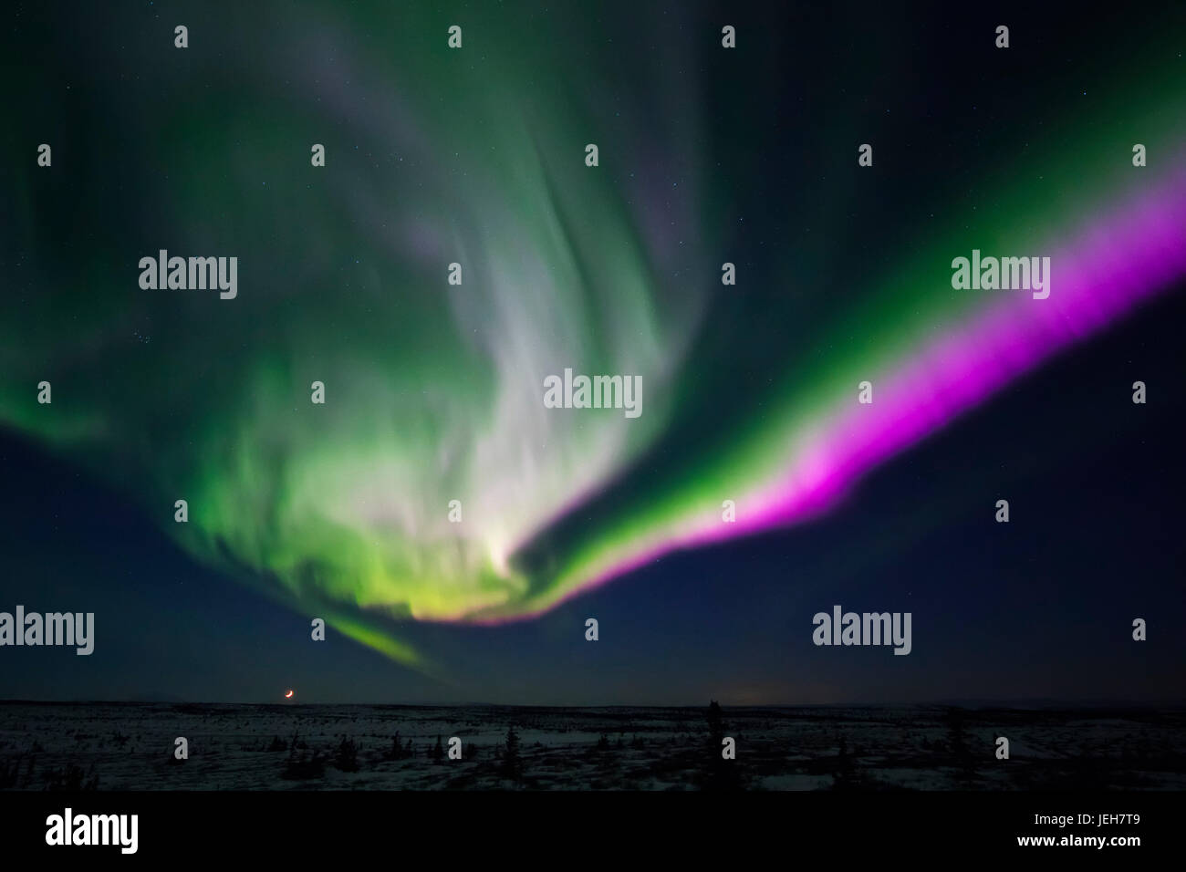 Die Mondsichel Sets entlang des Horizonts unter eine lebendige Aurora Borealis-Anzeige; Alaska, Vereinigte Staaten von Amerika Stockfoto