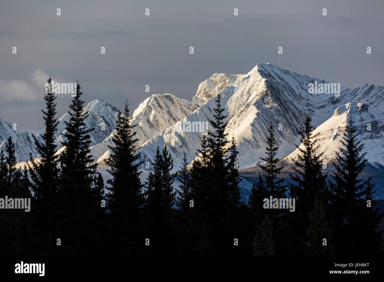 Schneebedeckte Berge mit Licht des frühen Morgens, Silhouette Wald im Vordergrund; Kananaskis Country, Alberta, Kanada Stockfoto