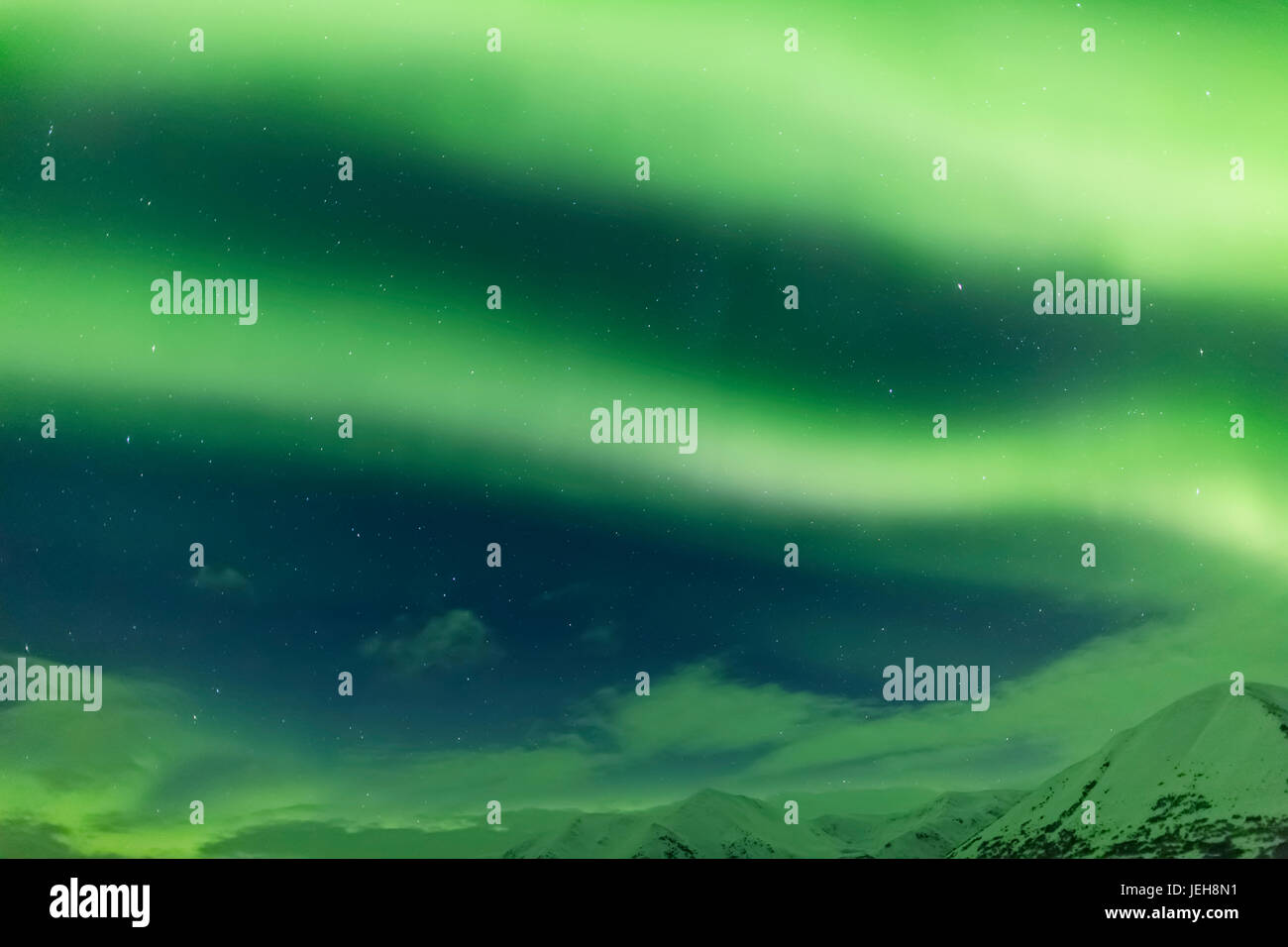 Leuchtend grüne Aurora Borealis Tänze über die Kenai Mountains, Moose Pass, Kenai-Halbinsel, Süd-Zentral-Alaska; Alaska, Vereinigte Staaten von Amerika Stockfoto