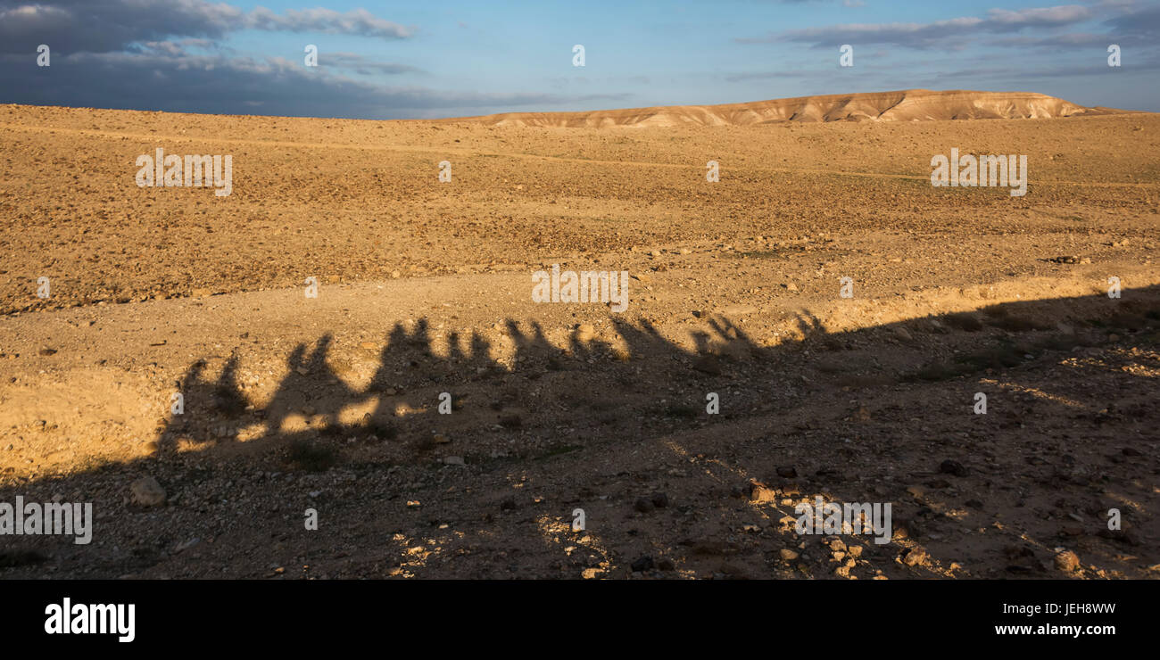 Schatten der Touristen Kamelreiten in eine Zeile und eine Landschaft aus der Judäischen Wüste; Ezor Beer Sheva, South District, Israel Stockfoto