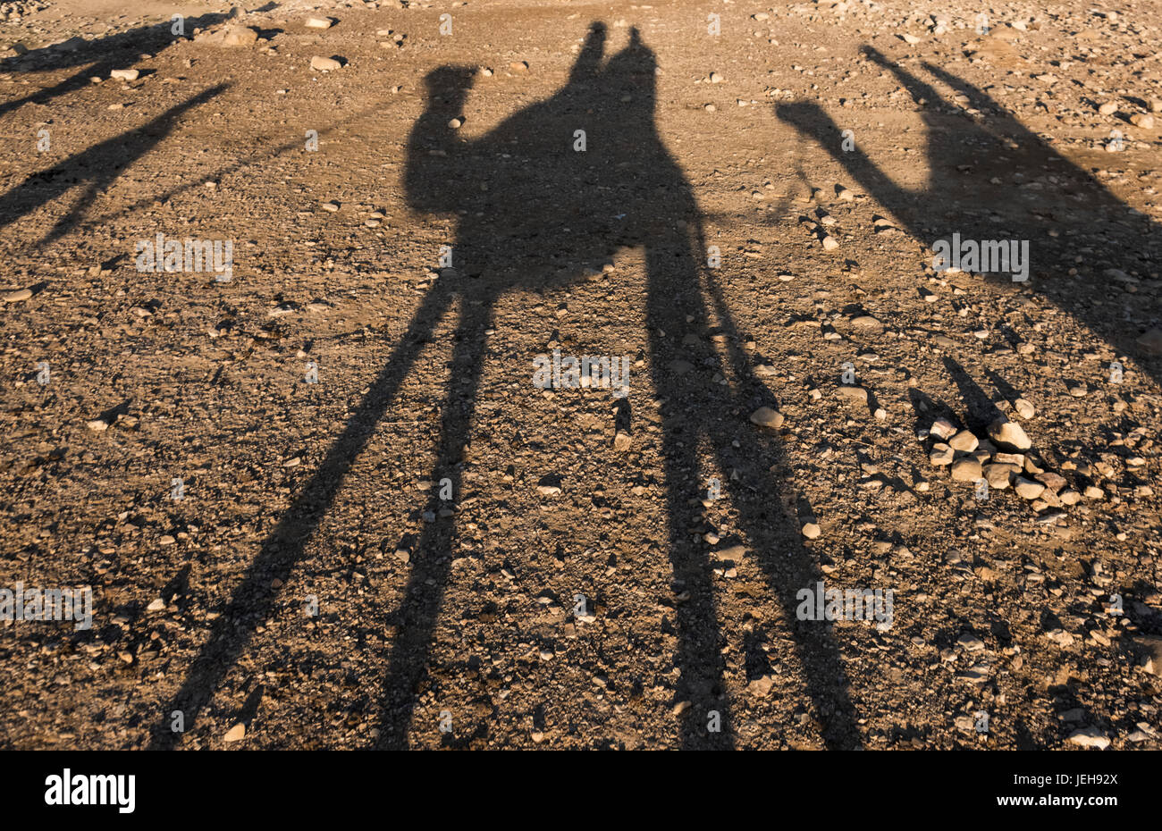 Schatten der Reiter auf Kamelen in der Judäischen Wüste; Ezor Beer Sheva, South District, Israel Stockfoto