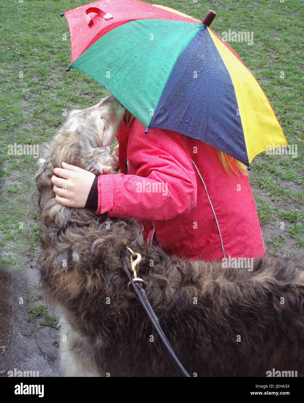 Heimliche Liebe zwischen einem Kind versteckt hinter einem Regenschirm und eine große gestromte Barsoi. Stockfoto