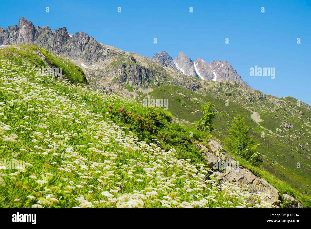 Berglandschaft im Sommer in der Nähe von Chamonix, Frankreich Stockfoto