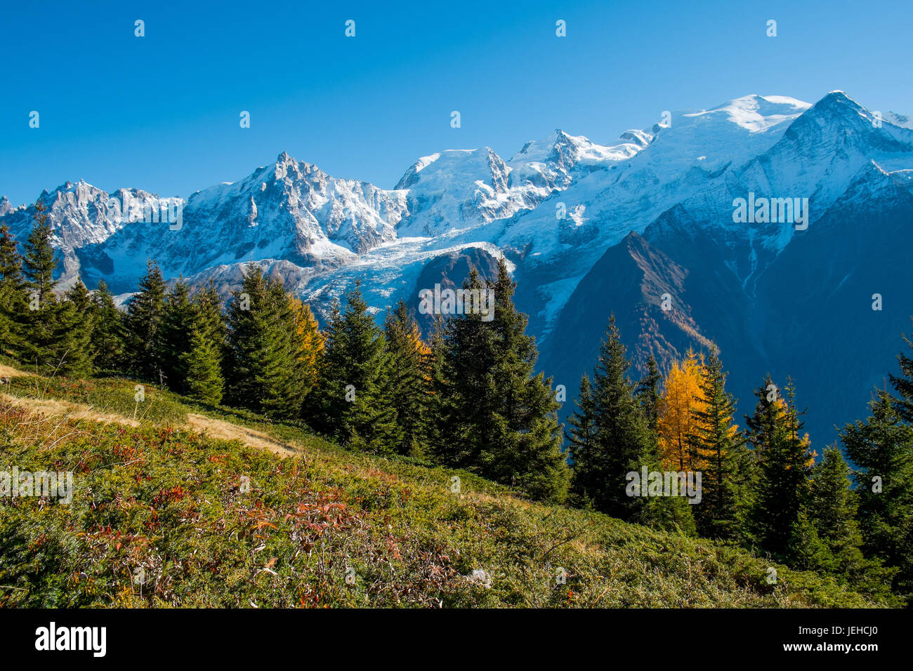 Blick auf den Mont Blanc von Chalets des Chailloux im Herbst, Chamonix, Frankreich Stockfoto