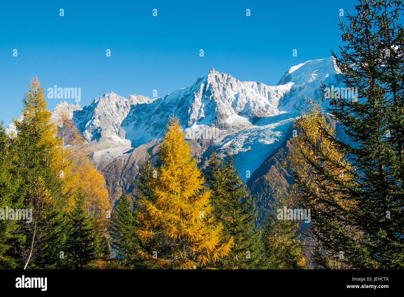 Blick auf Mont Blanc von einem Pinienwald im Herbst, Chamonix, Frankreich Stockfoto