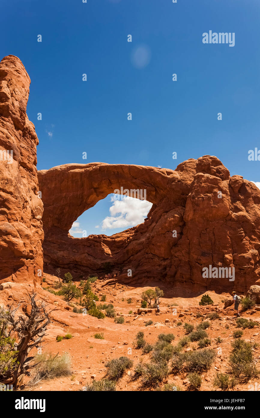 Natürliche Bögen im Arches National Park; Utah, Vereinigte Staaten von Amerika Stockfoto