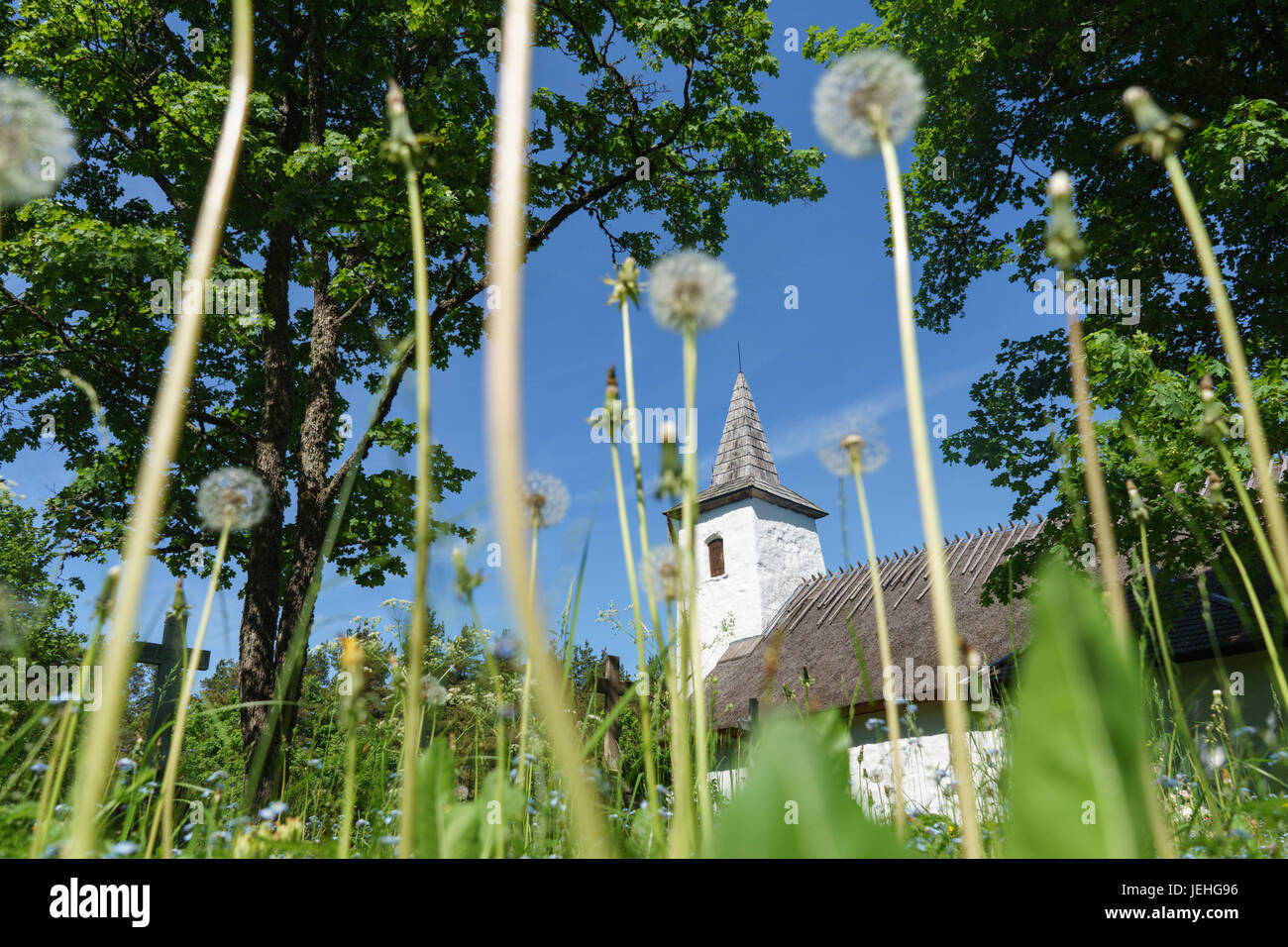 Kassari Kapelle durch Löwenzahn Blowballs. Hiiu Grafschaft, Estland Stockfoto