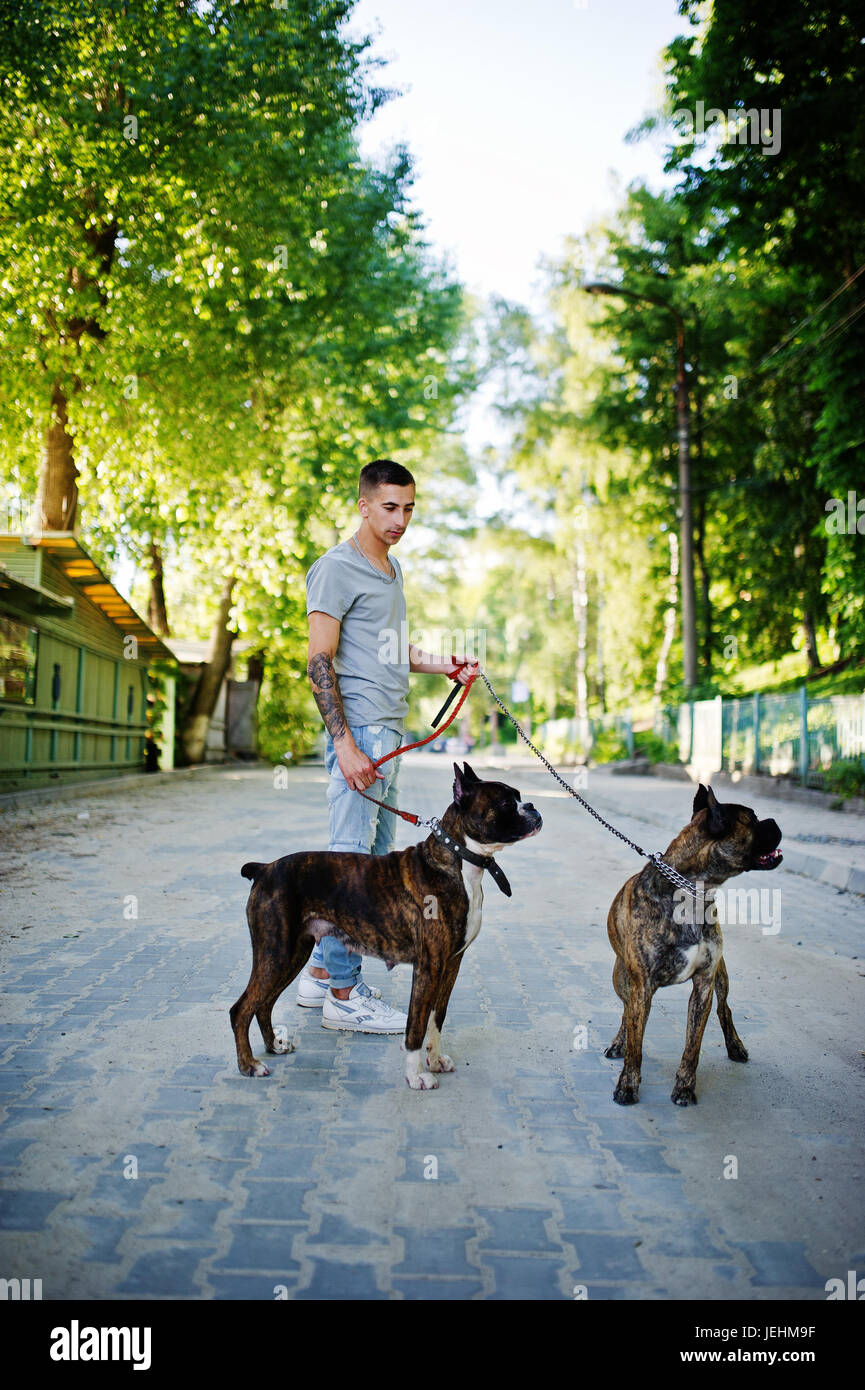 Mann mit zwei Hunden Pit-Bullterrier auf einem Spaziergang. Stockfoto