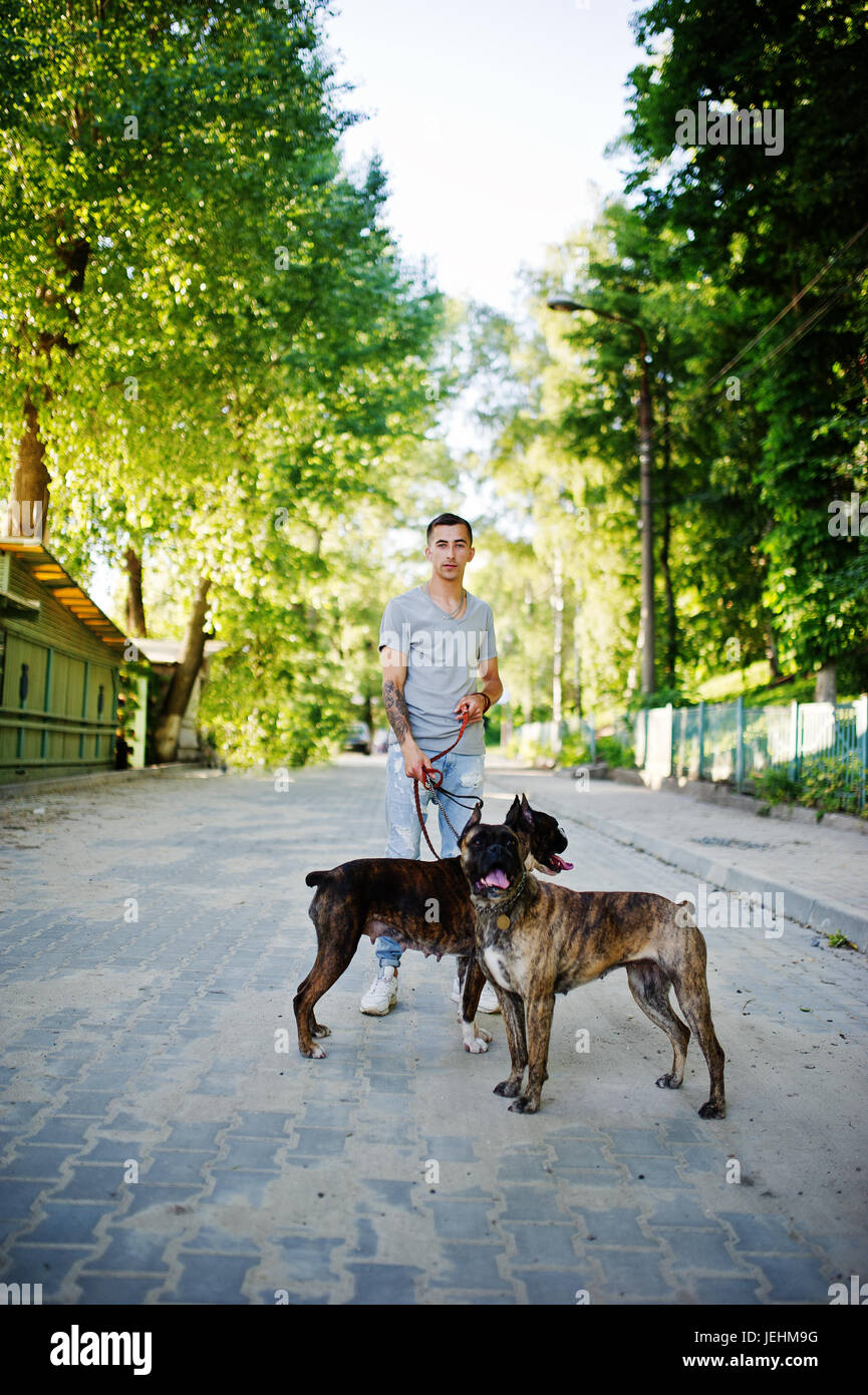 Mann mit zwei Hunden Pit-Bullterrier auf einem Spaziergang. Stockfoto