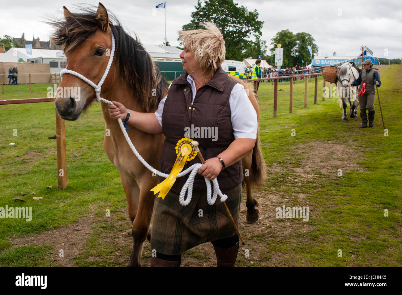 Ingliston, Edinburgh, Schottland, Großbritannien. 24. Juni 2017. Royal Highland Show 2017. Pep Masip/Alamy Live-Nachrichten Stockfoto