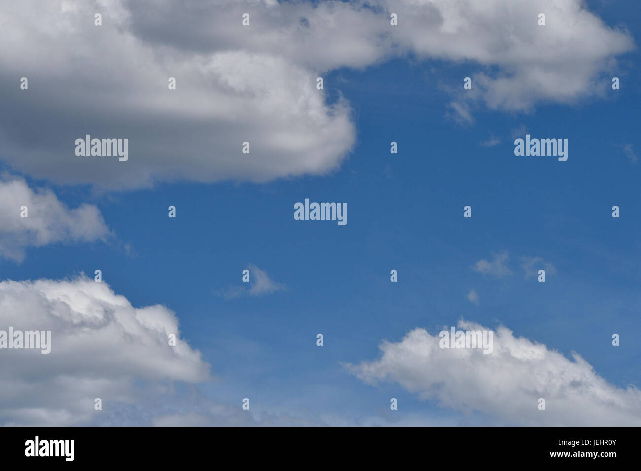 Blickte zu weißen geschwollenen Wolken auf blauem Himmelshintergrund in Alberta, Kanada Stockfoto