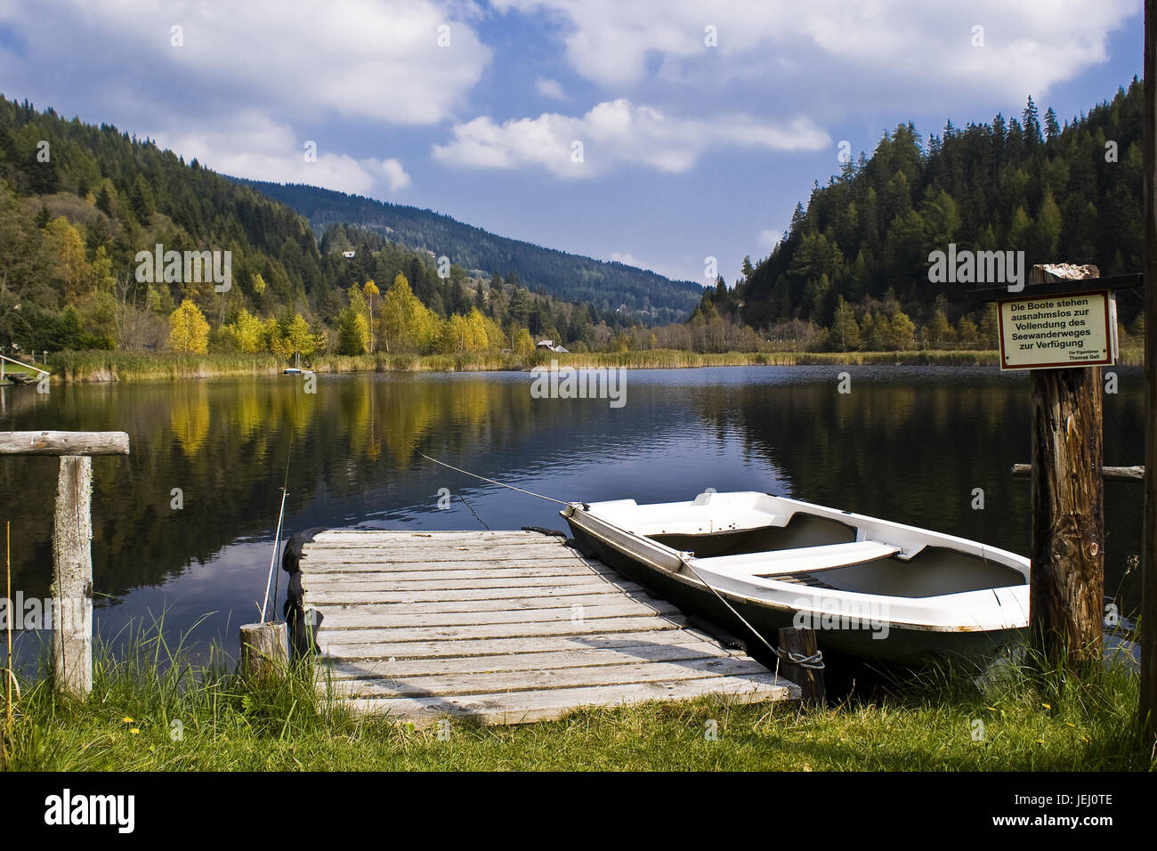 Gellsee, Moorsee in Steiermark, Österreich Stockfoto