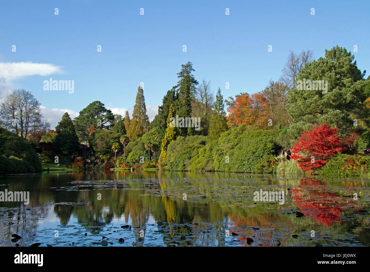 Sheffield Park Seeblick Stockfoto