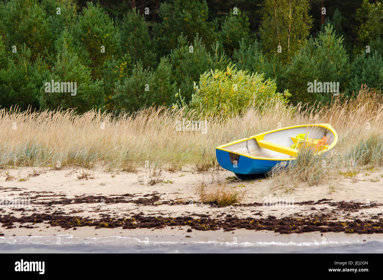 Ruderboot in Estland Stockfoto