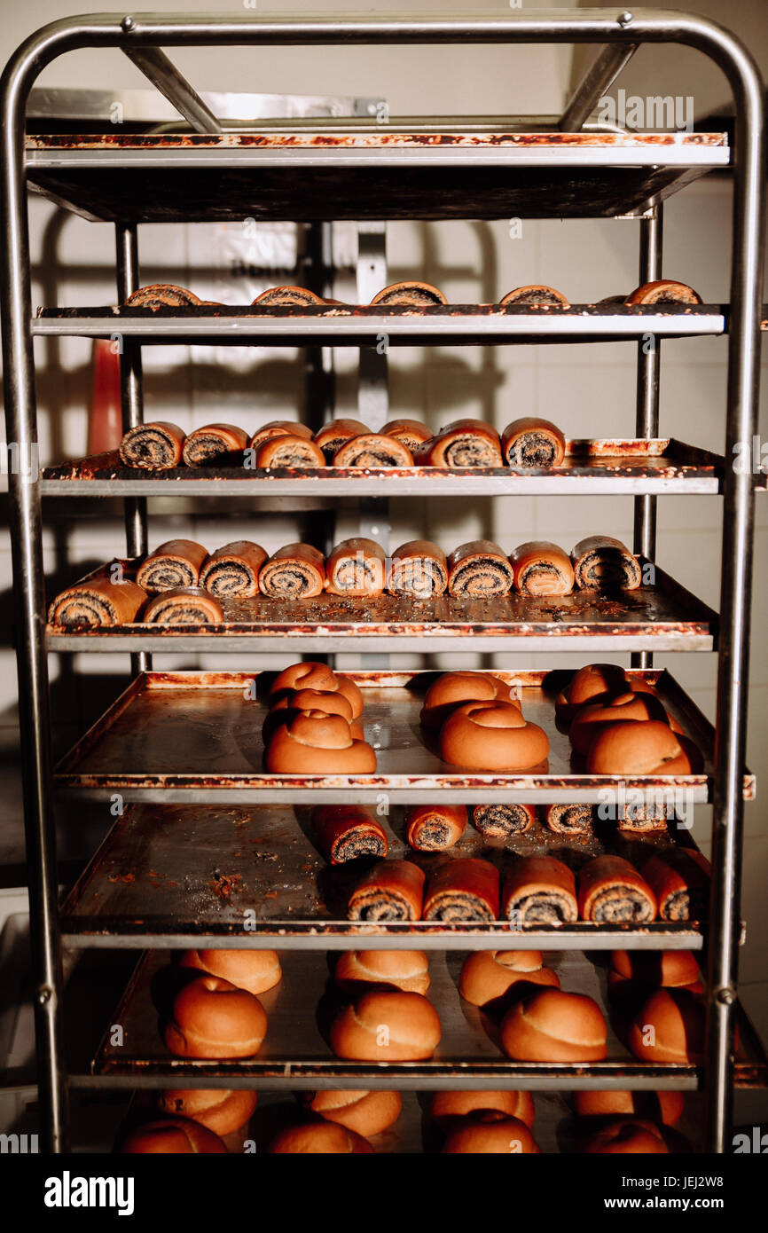 frisch gebackene Brötchen auf einem Gestell Stockfoto